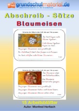 Abschreibsätze_Blaumeisen.pdf